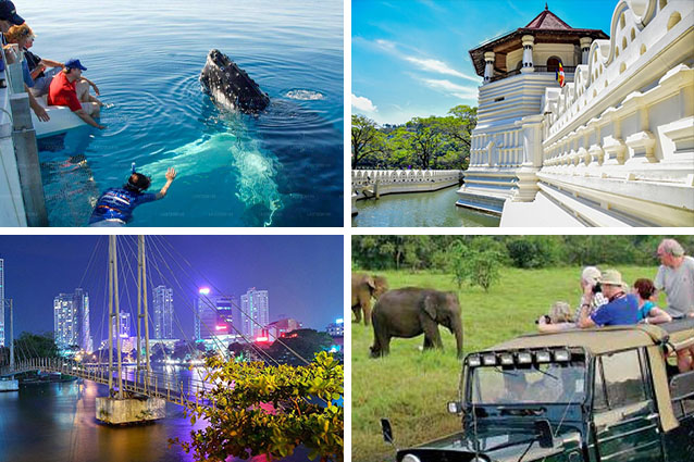 THREE NIGHTS AND FOUR DAYS TOURS